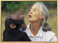 Jane Goodall