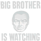 Big Data