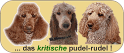 pudel-rudel